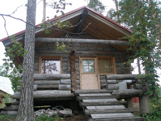 dry pine houses