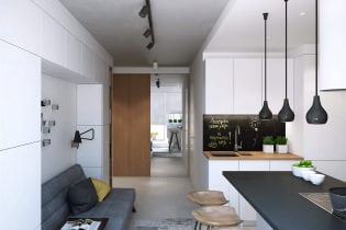 El disseny modern d'un apartament d'estudi de 43 metres quadrats. m. de l'estudi Geometrium