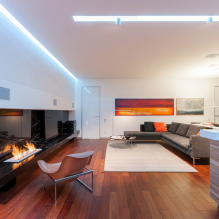 Biofireplace in the interior: types, design, cabinet design, design and decor-10