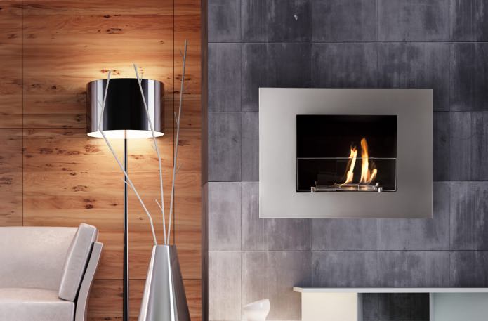 Biofireplace in the interior: types, design, cabinet design, design and decor