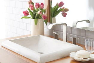 Valg av vasker til badet: installasjonsmetoder, materialer, former