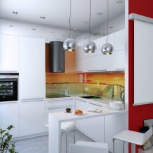 Kampinės virtuvės su baro skaitikliu-11 dizainas