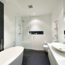 L'intérieur de la salle de bain dans un style moderne: 60 des meilleures photos et idées pour le design-10