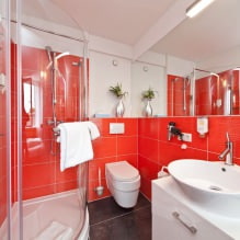 L'intérieur de la salle de bain dans un style moderne: 60 des meilleures photos et idées pour le design-11