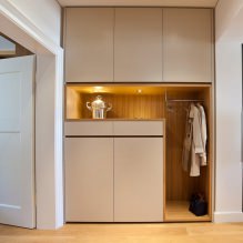 Comment réaliser magnifiquement un hall d'entrée dans un appartement: idées de design, agencement et agencement-8