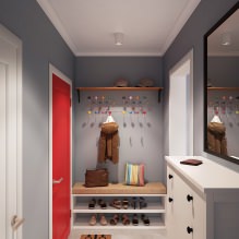 Kaip gražiai padaryti prieškambarį bute: dizaino idėjos, išplanavimas ir išdėstymas-13