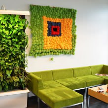 Interior moderno en estilo ecológico: características de diseño, 60 fotos-11