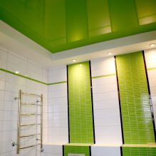 Plafond tendu dans la salle de bain: avantages et inconvénients, types, 55 photos à l'intérieur-11