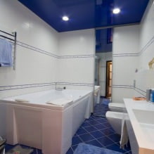 Plafond tendu dans la salle de bain: avantages et inconvénients, types, 55 photos à l'intérieur-5