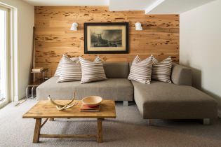Použitie dreva v interiéri: fotografia, 77 aplikácií