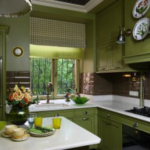 Zöld konyha: választott tulajdonságok, kombináció, 60 fénykép-22