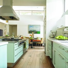 Žalioji virtuvė: pasirinktos savybės, derinys, 60 nuotraukų-8