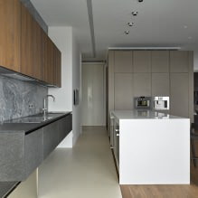 Interiér kuchyně s tmavou deskou: vlastnosti, materiály, kombinace, 75 fotografií-19