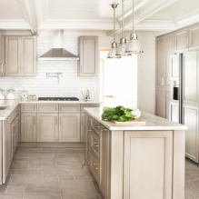 Smėlio spalvos komplektas virtuvės interjere: dizainas, stilius, derinys (60 nuotraukų) -10
