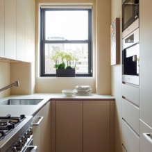 Bézs lakosztály a konyha belsejében: dizájn, stílus, kombináció (60 fénykép) -5