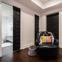Tmavé dveře v interiéru: kombinace s barvou podlahy, stěn, nábytku (60 fotografií) -5