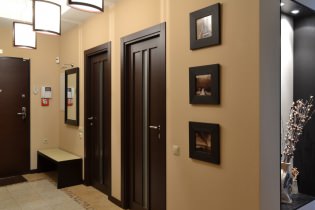 Tamna vrata u unutrašnjosti: kombinacija boje poda, zidova, namještaja (60 fotografija)