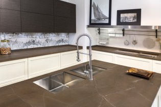 How to choose the color of countertops for the kitchen: 60+ best combinations complementing the interior