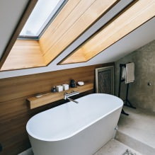 Tavan arası banyo tasarımı: dekorasyon özellikleri, renk, stil, perde seçimi, 65 fotoğraf-3
