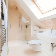 Tavan arası banyo tasarımı: dekorasyon özellikleri, renk, stil, perde seçimi, 65 fotoğraf-10
