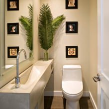 Malý interiér toalety: funkce, design, barva, styl, 100+ foto-1