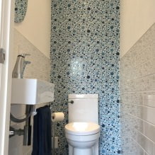 Petit intérieur des toilettes: caractéristiques, design, couleur, style, 100+ photo-20