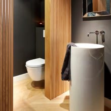 Malý interiér toalety: prvky, dizajn, farba, štýl, 100+ foto-22