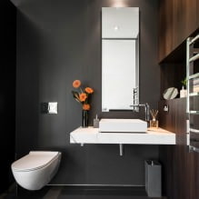 Interior de toaletă mică: caracteristici, design, culoare, stil, 100+ foto-5