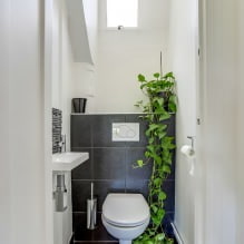 Lite toalettinnredning: funksjoner, design, farge, stil, 100+ bilder-0