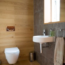 Μικρό εσωτερικό τουαλέτα: χαρακτηριστικά, σχέδιο, χρώμα, στυλ, 100+ φωτογραφία-9