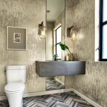 Interior de toaletă mică: caracteristici, design, culoare, stil, 100+ foto-19