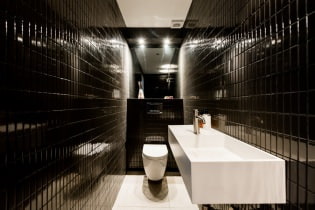 Kis WC-belső: jellemzők, kialakítás, szín, stílus, több mint 100 fénykép