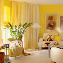 Gelb im Innenraum: Foto, Farbbedeutung, Kombination, Stilwahl und Dekoration-9