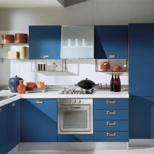Photo d'un design de cuisine avec un set bleu-4