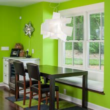 Vaaleanvihreä väri sisustuksessa: yhdistelmät, tyylivalinta, sisustus ja huonekalut (65 kuvaa) -2