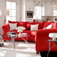 Canapé rouge à l'intérieur: types, design, combinaison avec papier peint et rideaux-8