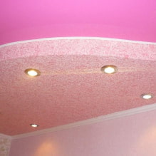 Hình nền lỏng trên trần nhà: hình ảnh trong nội thất, ví dụ hiện đại về thiết kế-3