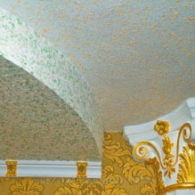 Kertas dinding cair di siling: gambar di pedalaman, contoh moden reka bentuk-5
