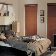 Les persianes al dormitori: característiques de disseny, tipus, materials, color, combinacions, foto-3