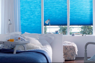 Blinds di dalam bilik tidur: ciri reka bentuk, jenis, bahan, warna, kombinasi, gambar