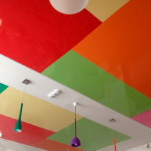 Plafonds tendus combinés: combinaison de couleur, texture, avec d'autres matériaux, multiniveau-6