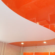 Συνδυασμένες τεντωμένες οροφές: συνδυασμός χρώματος, υφής, με άλλα υλικά, πολυεπίπεδο-8