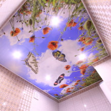 Опънати тавани с фотопечат: видове, идеи за дизайн, рисунки (природа, цветя, животни и др.), Осветление-1