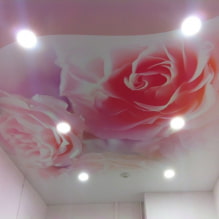 Stretch ceilings with photo printing: types, design ideas, drawings (nature, flowers, animals, etc.), lighting-5