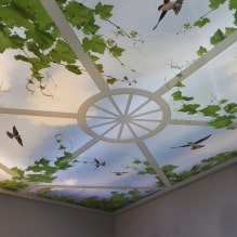 3D efektli germe tavanlar: tasarım ve çizimler, odaların iç mekanlarından örnekler-2