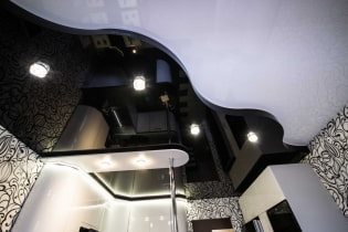 Plafond suspendu noir et blanc: types de structures, textures, formes, options de conception