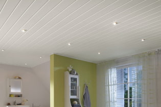 Plafond à lattes: photo, types (en bois, plastique, métal, aluminium), formes, design, couleur