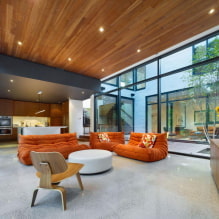 Drveni strop: pogledi, dizajn, boja, rasvjeta, primjeri u stilovima potkrovlja, minimalizam, klasika, provence-0