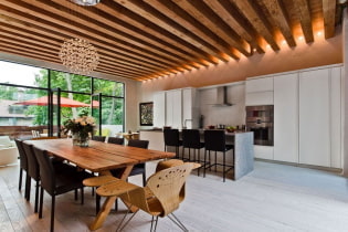 Plafond en bois: vues, design, couleur, éclairage, exemples dans les styles de loft, minimalisme, classique, provence
