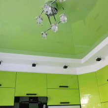 Soffitto verde: design, tonalità, combinazioni, tipi (tratto, cartongesso, pittura, carta da parati) -5